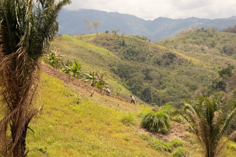 field_visit_elisur_2