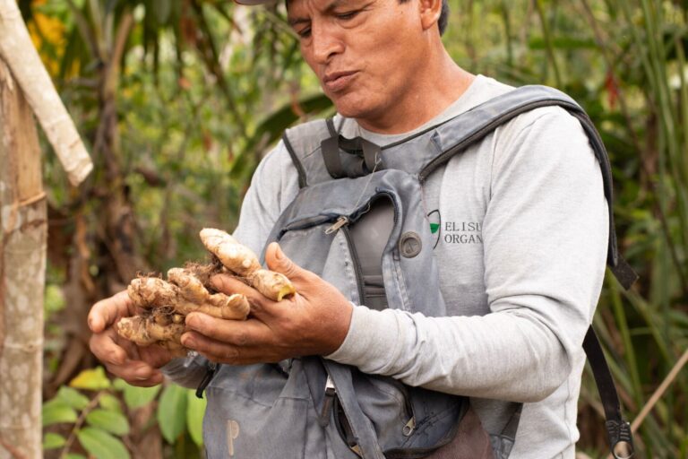 field_visit_elisur_3