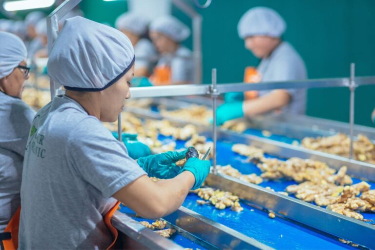 field_visit_elisur_6