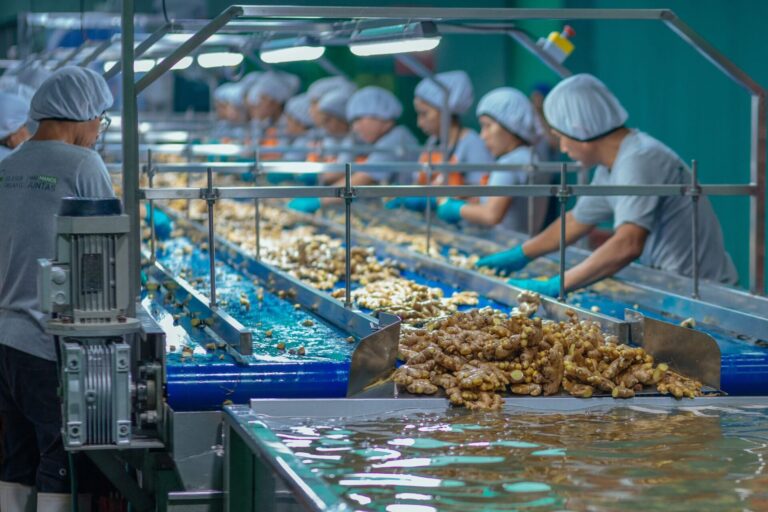 field_visit_elisur_7