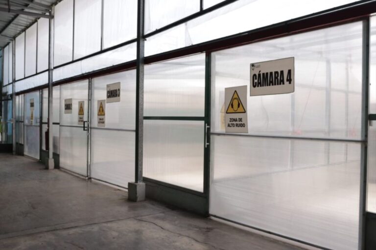 field_visit_elisur_8