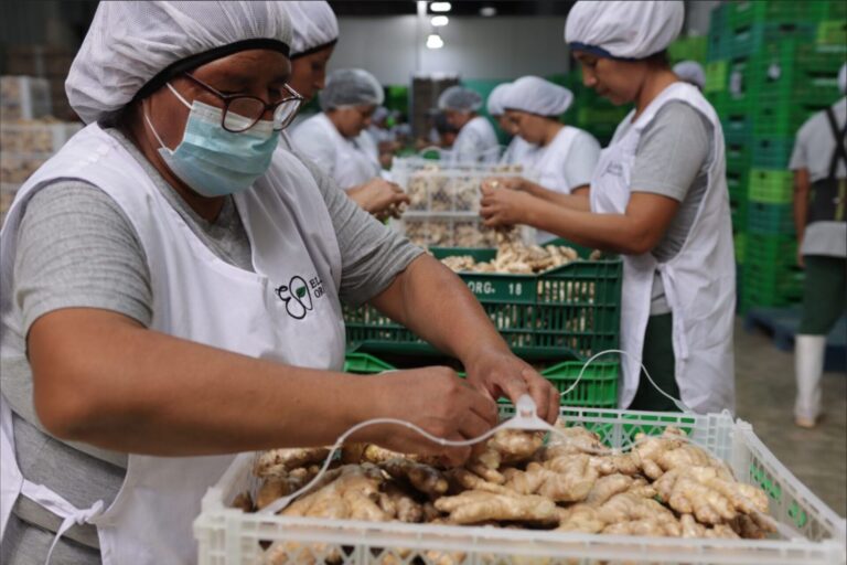 field_visit_elisur_9