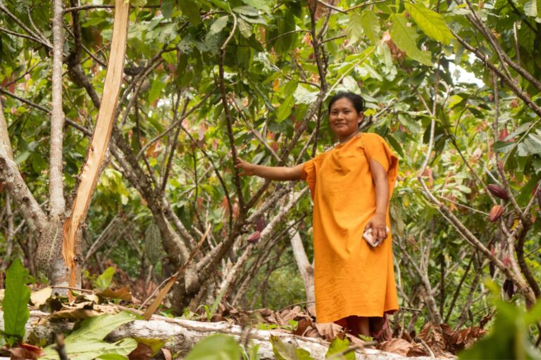 sinchiri_field_visit_4