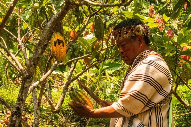 sinchiri_field_visit_5