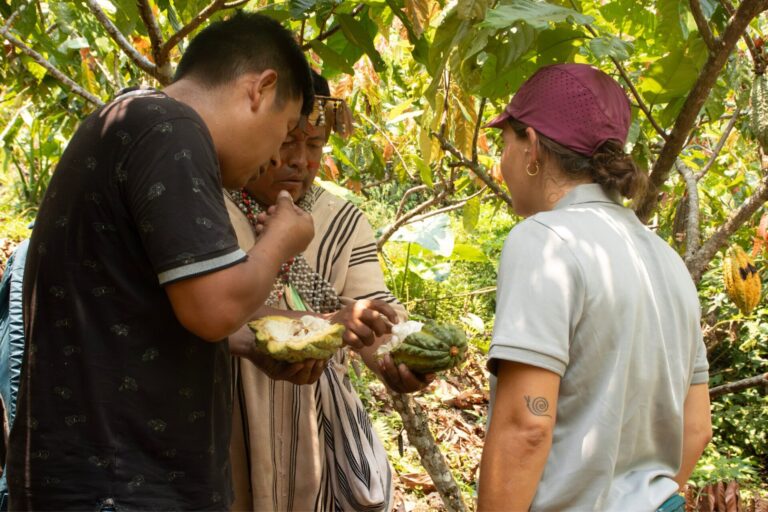 sinchiri_field_visit_6